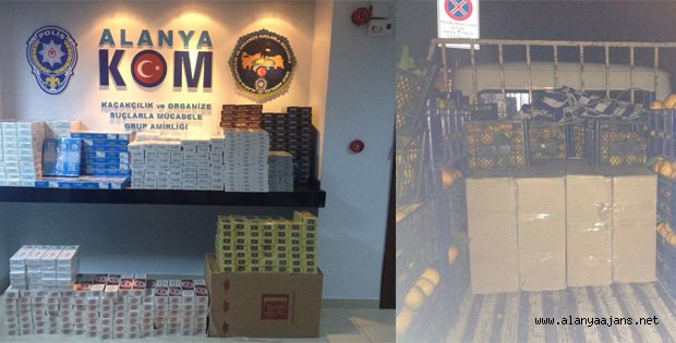 PORTAKAL KAMYONUNA KAÇAK BASKINI