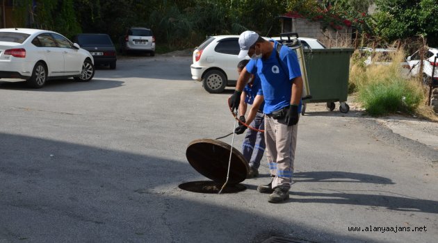 Sinekle yoğun mücadele sürüyor