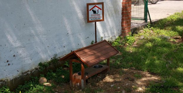 SOKAK HAYVANLARINA YENİ BESLENME ÜNİTELERİ