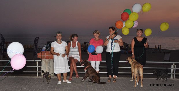 SOKAK KÖPEKLERİNİN BOYNUNA BALON BAĞLADILAR