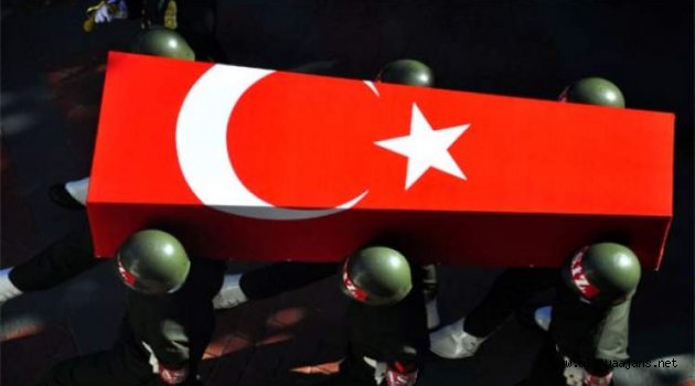Son dakika! Alanya'ya şehit ateşi düştü