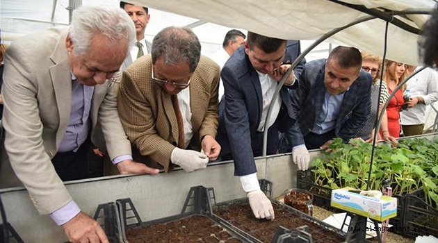 Su kabağı tohumları toprakla buluştu
