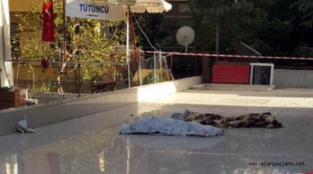 Suriyeli kardeşler öldürüldü mü?