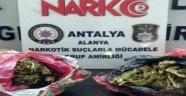 Alanya'da 2 kilo esrarla yakalanan şüpheli tutuklandı