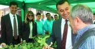 Alanya Belediyesi su kabağı dağıtmaya devam ediyor