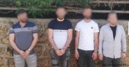 Alanya’da 2 evi soyan hırsızlıklar jandarmadan kaçamadı