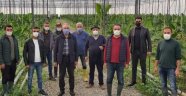 AK Partili Aydın muz üreticilerinin sorunlarını dinledi