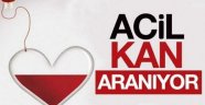 Alanya’da acil kan aranıyor!