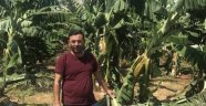 Alanya’da hasar tespit çalışmaları devam ediyor