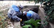 Alanya’da sinekle mücadelede kış mesaisine geçildi