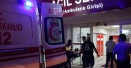 Alanya’da zeytin ağacından düşen genç yaralandı