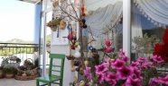 Alanya’nın en güzel balkon ve bahçesi belli oldu
