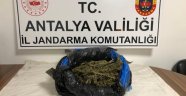 Alanya Otogarı'nda uyuşturucu operasyonu
