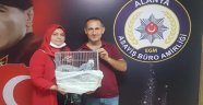 Alanya'da çalınan ödüllü 'Yakup'u polis buldu