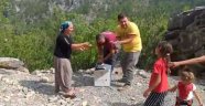 Alanya'da keklikler doğaya salındı