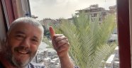 Alanya'da muhtar Uysal karantinada