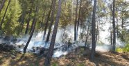 Alanya'da orman yangını! 