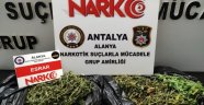 Alanya'da polisten uyuşturucu baskını