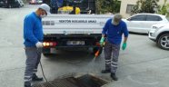 Alanya'da sinekle mücadelede yaz mesaisi başladı