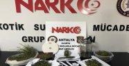 Alanya'da uyuşturucuya geçit yok!