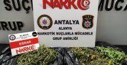 Alanya'da uyuşturucuyla yakalanan şüpheli tutuklandı