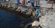 Alanya'da yangın sonrası liman temizleniyor
