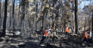 Alanya'daki mezarlıklarda yangının izleri siliniyor