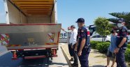Alanya'ya gelen kurbanlıklar denetleniyor