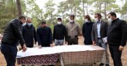 Macera Parkı için çalışmalar başladı