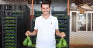 Sevilgen: Fiyatları yükselten halci değil