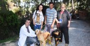 Sokak köpekleri sahiplendiriliyor