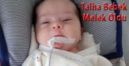Talha bebek yaşam savaşını kaybetti