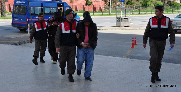 Tomruk hırsızlığına 3 gözaltı