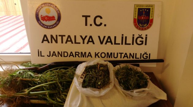 Uyuşturucu tacirlerine af yok