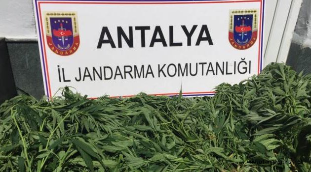 Uyuşturucuya ağır darbe
