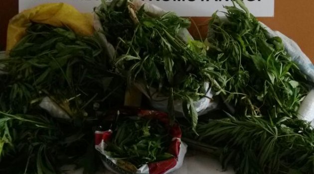 Uyuşturucuya ağır darbe